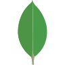 /mongodb1.png